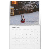 Rex de TV Terrier 2023 Word van de maandelijkse ka Kalender (Jan 2027)