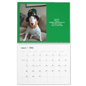 Rex De TV Terrier 2024 SnackMe Kalender (Mar 2026)