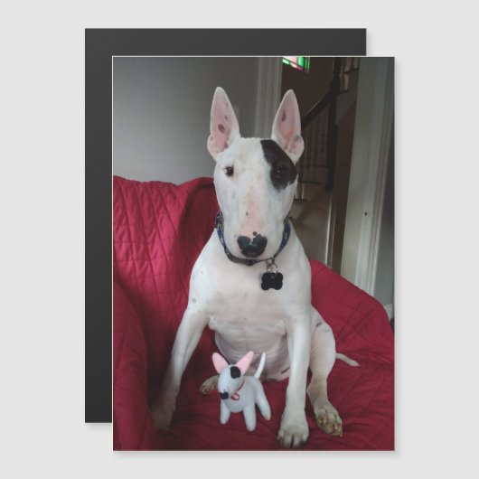 Rex De TV Terriër en Ditto magneet Magnetische Uitnodiging (Voorkant / Achterkant)