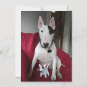 Rex De TV Terriër en Ditto magneet Magnetische Uitnodiging (Voorkant)