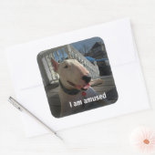 Rex De TV Terrier Ik ben Geamuseerd sticker (Envelop)