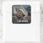 Rex De TV Terrier Ik ben Geamuseerd sticker (Tas)