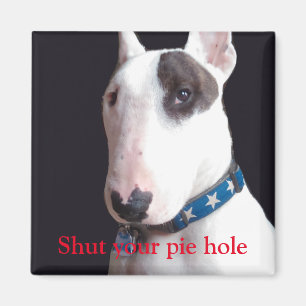 Rex de TV Terrier Sluit je pasteggat Magneet