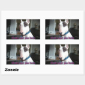 Rex De TV Terrier Sluit Uw Taart Gat stickers (Vel)