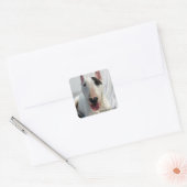 Rex De TV Terrier sticker (Envelop)