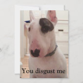 Rex de tv-zender die je me Magnet afstoot Magnetische Uitnodiging (Voorkant)