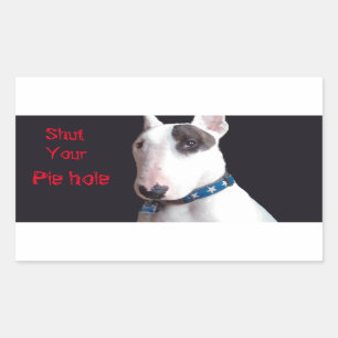 Rex de tv-zender Sluit de pendop Rechthoekige Sticker