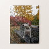 Rex in herfst puzzel legpuzzel (Verticaal)
