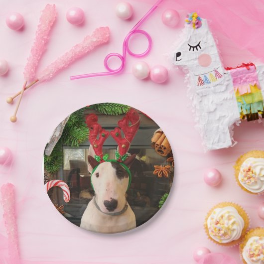 Rex-kerstborden Papieren Bordje (Feest)