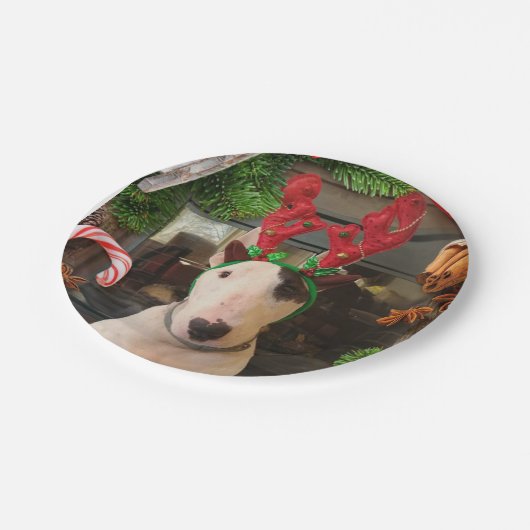 Rex-kerstborden Papieren Bordje (Gekanteld)