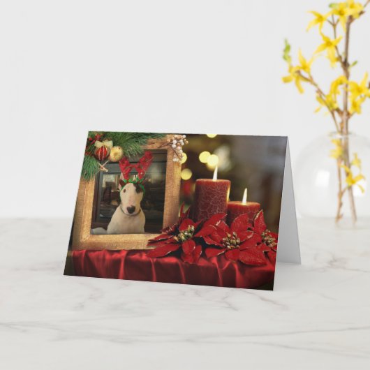 Rex-kerstkaart, kaarsen en poinsettia kaart (Gele Bloem)