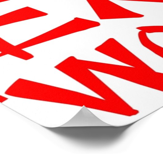 Rex Kwon Do Napoleon Dynamite Poster (Hoek)