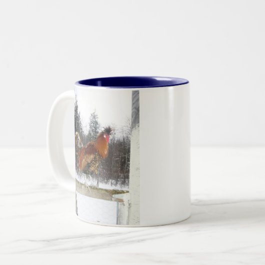 Rex Mok (Voorkant links)