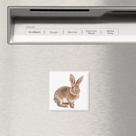 Rex Rabbit Magneet (Insitu (Vaatwasser))
