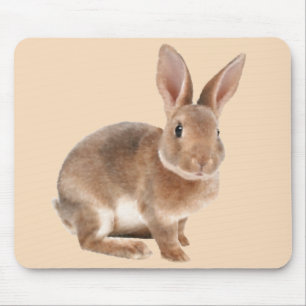 Rex Rabbit Muismat