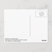 Rex Rider Briefkaart (Achterkant)