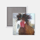 Rex Rooster Magnet (Voorkant / Achterkant)