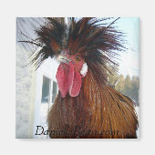Rex Rooster Magnet (Voorkant)