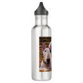 Rex Summer Stainless Steel Water Bottle Waterfles (Links)