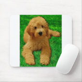 Rex The Goldendole Muismat (Met muis)