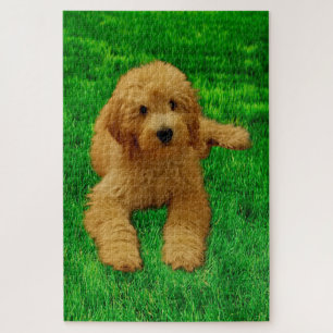 Rex The Goldendole Puzzle Legpuzzel