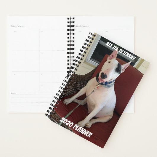 Rex the TV Terrier 2020 Planner (Display)