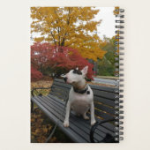 Rex the TV Terrier 2020 Planner (Achterkant)
