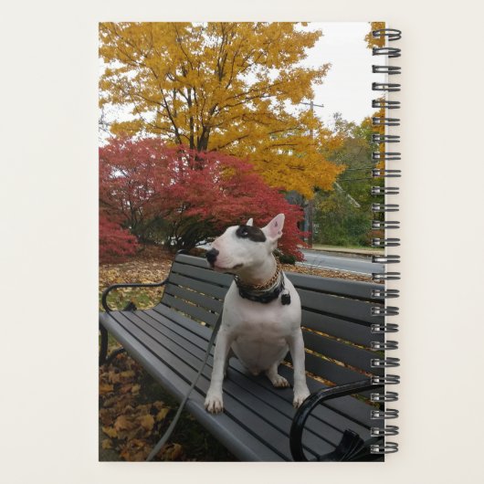 Rex the TV Terrier 2020 Planner (Achterkant)