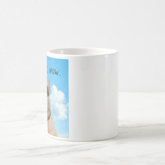 Rex the TV Terrier Coffee Now Mok (Center)