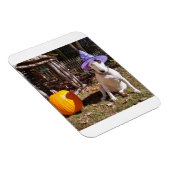 Rex the TV Terrier Halloween Magnet Magneet (Rechterzijde)