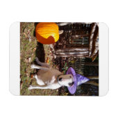 Rex the TV Terrier Halloween Magnet Magneet (Horizontaal)