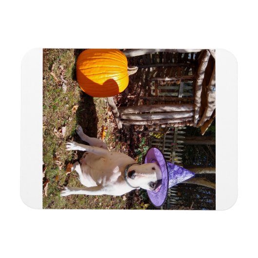 Rex the TV Terrier Halloween Magnet Magneet (Horizontaal)