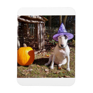 Rex the TV Terrier Halloween Magnet Magneet