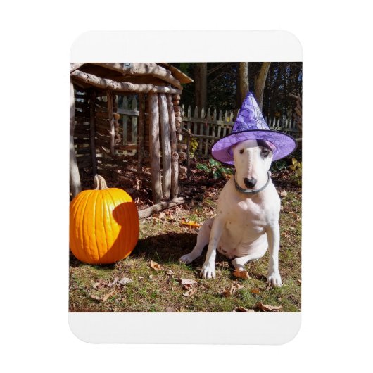 Rex the TV Terrier Halloween Magnet Magneet (Verticaal)