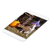 Rex the TV Terrier Halloween Magnet Magneet (Linkerzijde)