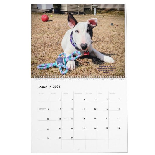 Rex The TV Terrier Inc. Spike 2026 Calendar Kalender (Mar 2026)