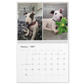 Rex The TV Terrier Inc. Spike 2026 Calendar Kalender (Feb 2027)