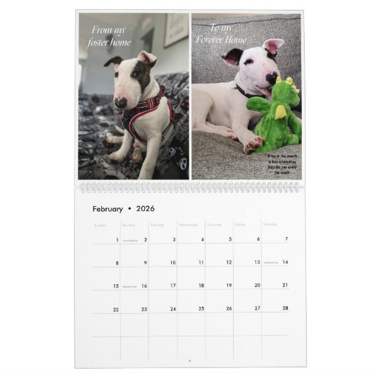 Rex The TV Terrier Inc. Spike 2026 Calendar Kalender (Feb 2026)