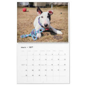 Rex The TV Terrier Inc. Spike 2026 Calendar Kalender (Mar 2027)