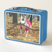 Rex the TV Terrier.kruis de lunchbox van de dag aa (Achterkant)