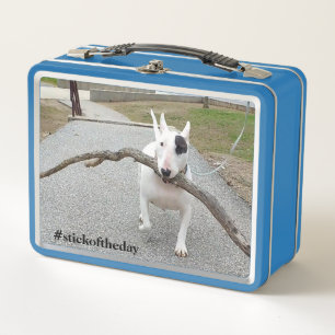 Rex the TV Terrier.kruis de lunchbox van de dag aa
