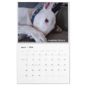 Rex The TV Terrier Word of the maand 2022 Calendar Kalender (Mar 2026)