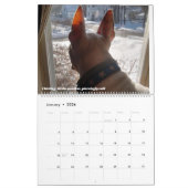 Rex The TV Terrier Word of the maand 2022 Calendar Kalender (Jan 2026)