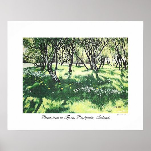 Reykjavik IJsland landschapskunst door Pola.B.Alex Poster (Voorkant)