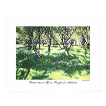 Reykjavik IJsland landschapskunst door Pola.B.Alex