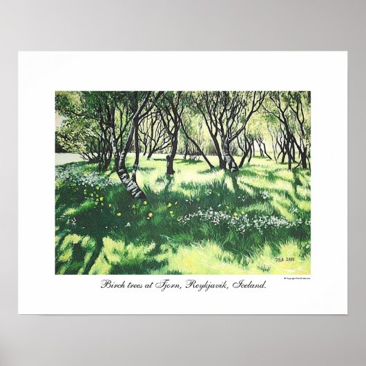 Reykjavik IJsland landschapskunst door Pola.B.Alex Poster (Voorkant)