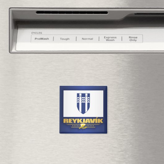 Reykjavik Magneet (Insitu (Vaatwasser))