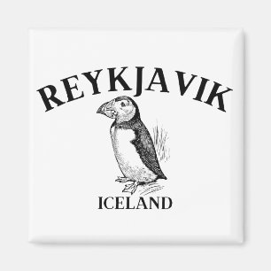 Reykjavik Magneet