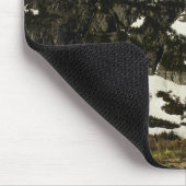 Reynolds Mountain vanaf Logan Pass in Glacier Park Muismat (Hoek)