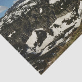 Reynolds Mountain vanaf Logan Pass in Glacier Park Tissuepapier (Detail)